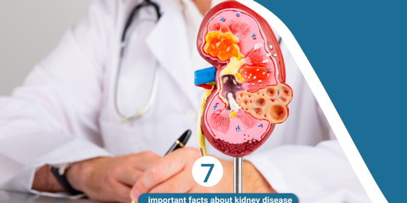 Important facts about Kidney Disease