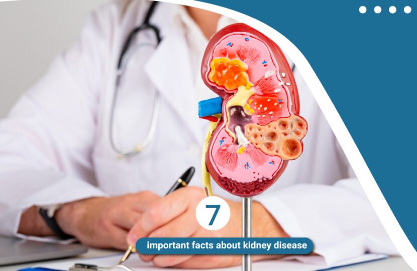 Important facts about Kidney Disease