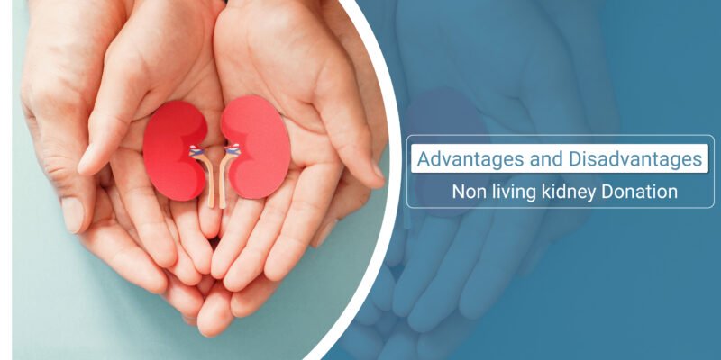 Non-Living Kidney Donation