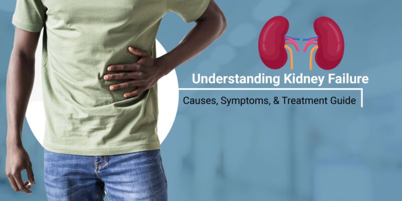 Kidney Failure Causes, Symptoms, and Treatment