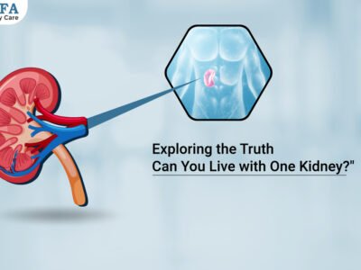 Exploring the Truth: Can You Live with One Kidney?