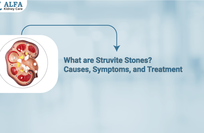 Struvite-Stone-causes-symptoms-treatment