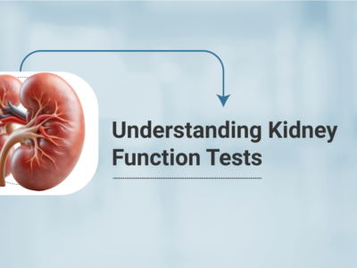 Understanding Kidney Function Tests: Key Diagnostics for Kidney Health