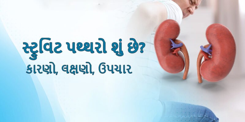 struvite-stones-in-gujarati