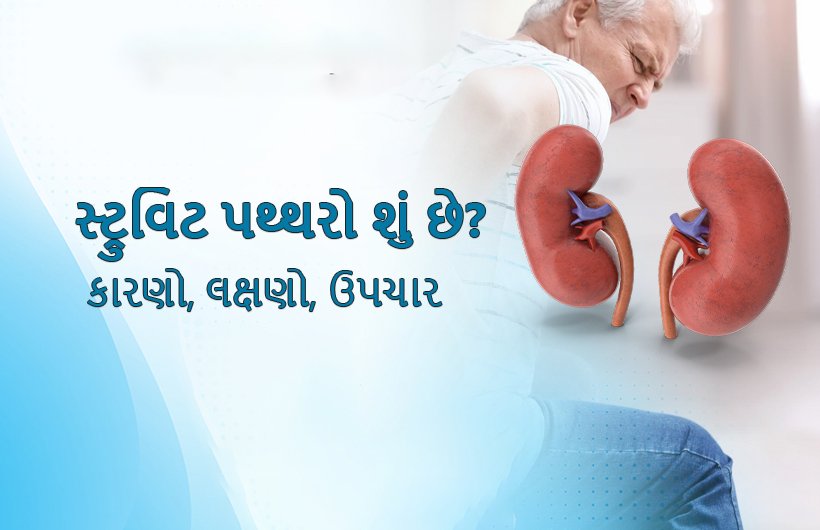 struvite-stones-in-gujarati