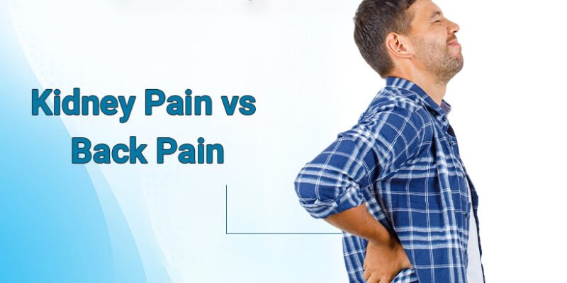 Kidney Pain vs Back Pain