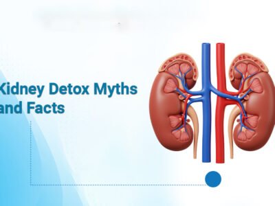 Kidney Detox Myths and Facts – What Actually Works According to Science