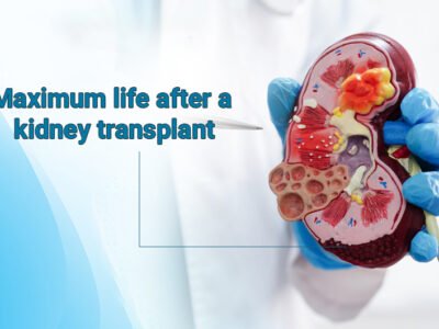 Maximum Life After Kidney Transplant: Life Expectancy, Survival & Care