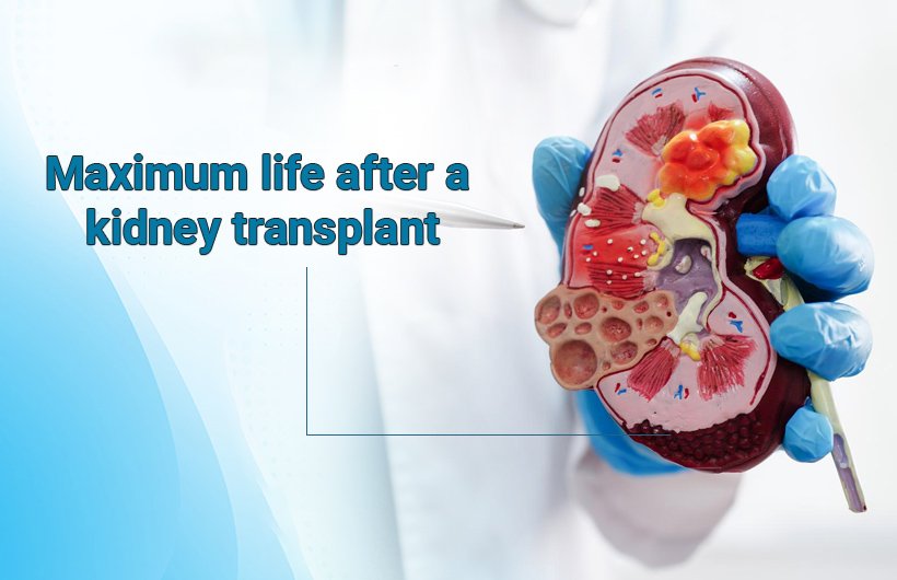Maximum life after kidney transplant