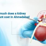 How much is a kidney transplant cost in Ahmedabad
