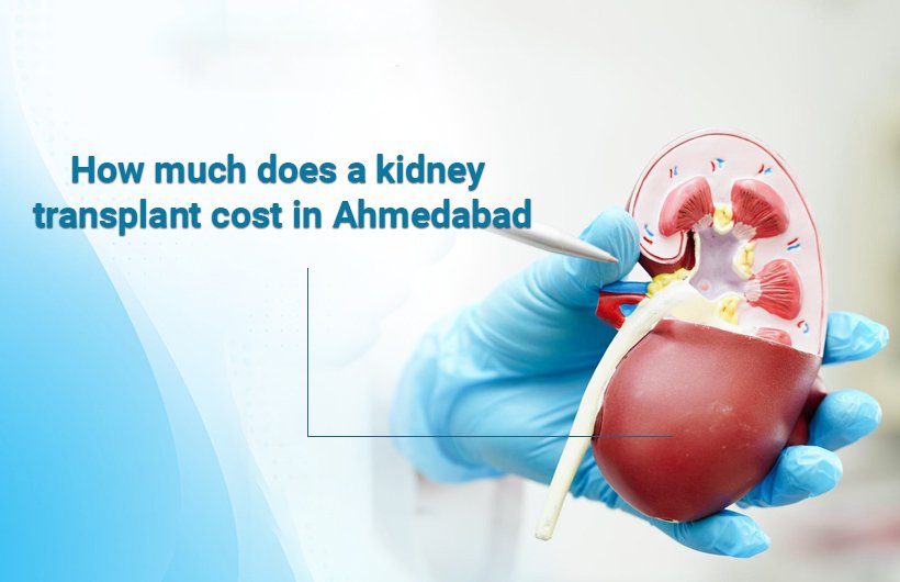How much is a kidney transplant cost in Ahmedabad