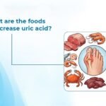 Foods That Increase Uric Acid in the Body