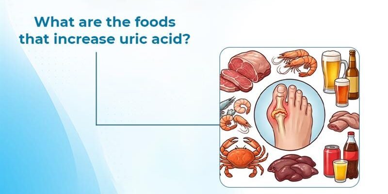 Foods That Increase Uric Acid in the Body