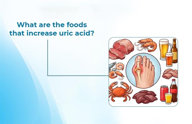 Foods That Increase Uric Acid in the Body