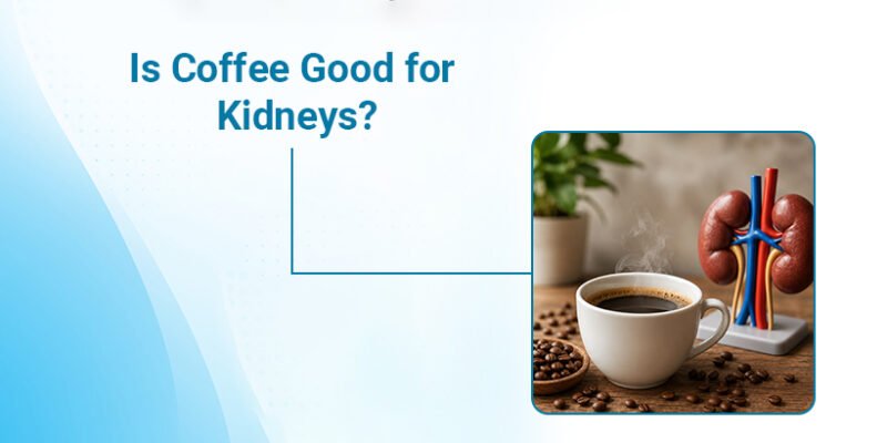 Is Coffee Good for Kidneys