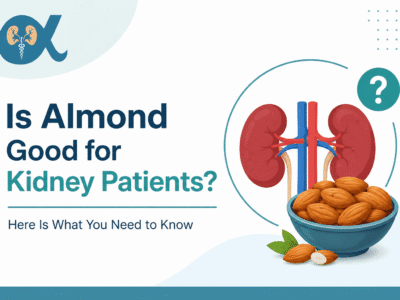 Is Almond Good for Kidney Patients? Here Is What You Need to Know