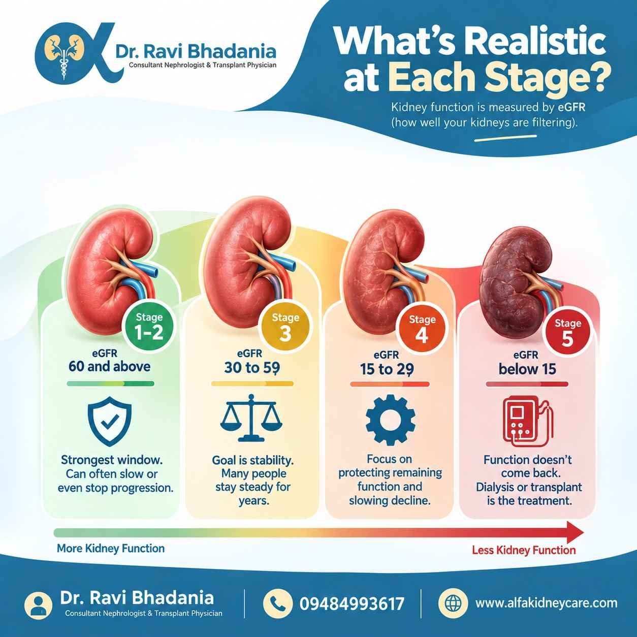 Kidney Function Stages